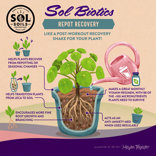 Sol Biotics - Repot Recovery - Repotting Shock Treatment