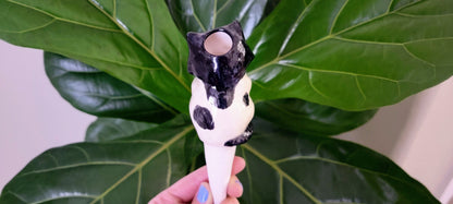 Kitten Watering Spike