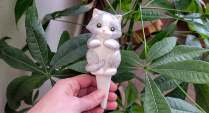 Kitten Watering Spike