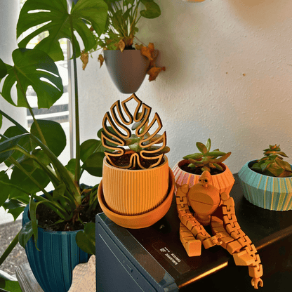 The Eero Planter | Stylish 2-Piece Drip Tray Planter Design for Indoor Potting | 3 Sizes Available | Made in USA