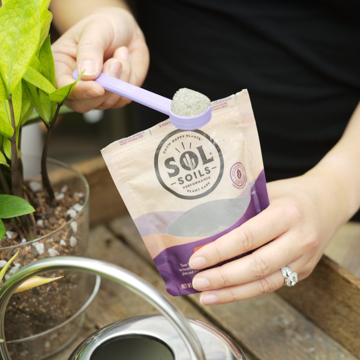 Sol Biotics - Monthly Myco - Mycorrhizal Fungi Inoculant