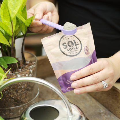 Sol Biotics - Soil Salvation - Worm Castings & Biochar Soil Revitalizer