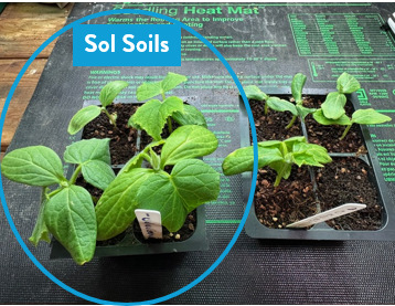 Seedling & Propagation Mix (Large Gallons Only to Start)