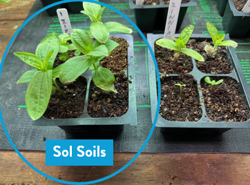 Seedling & Propagation Mix (Large Gallons Only to Start)