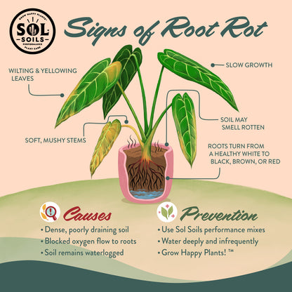 Bonsai Gritty Mix