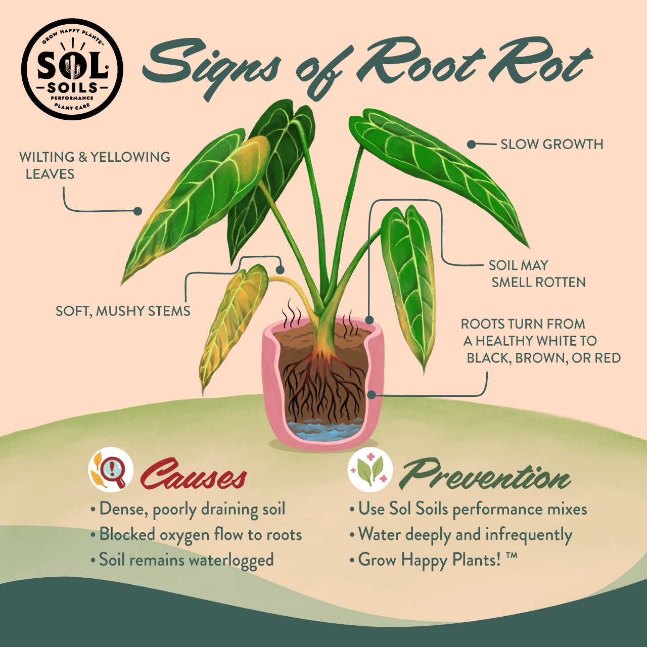 Seedling & Propagation Mix (Large Gallons Only to Start)