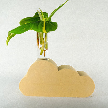 Cloud Propagation