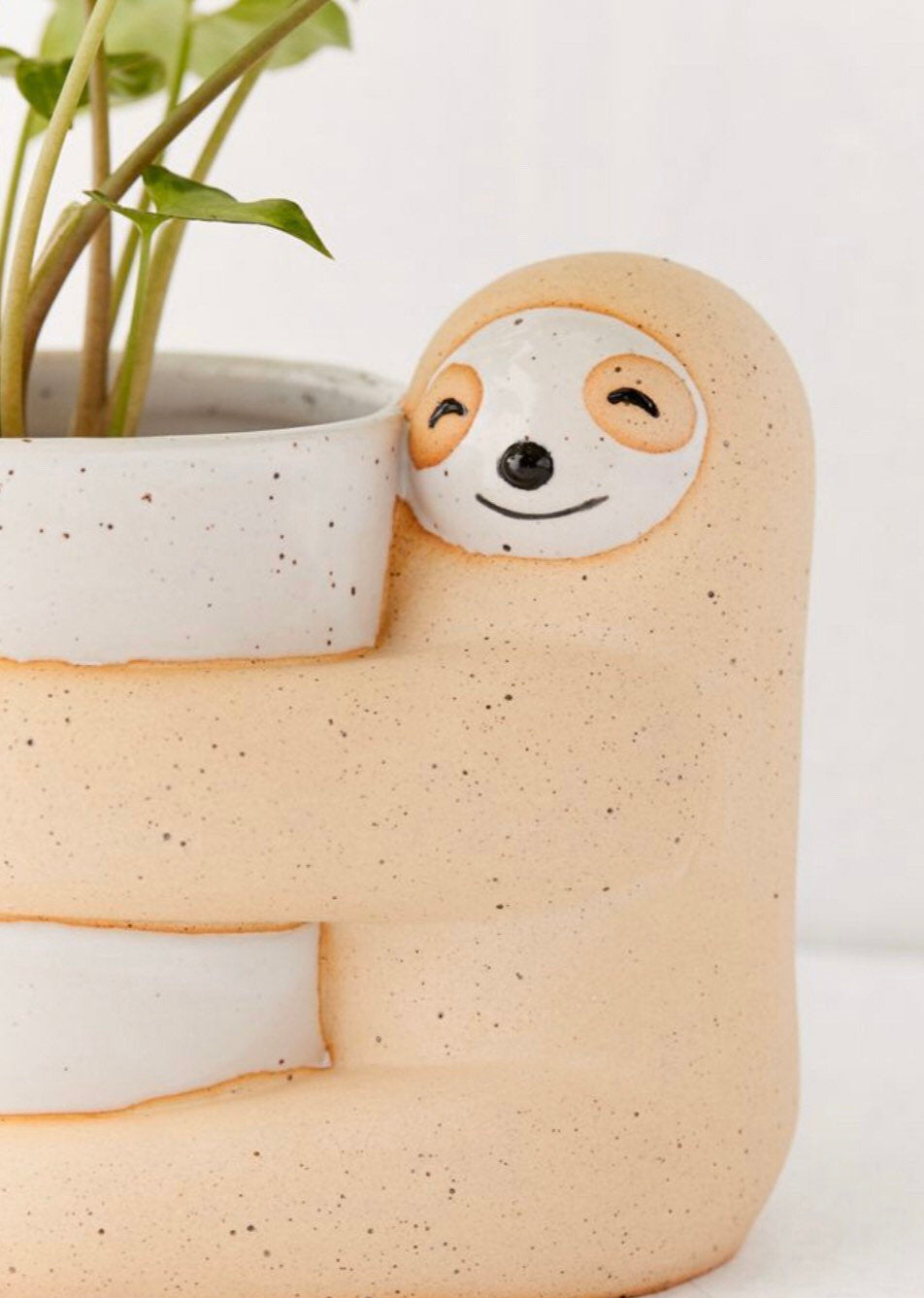 Large Hugging Sloth Planter Pot for Succulents & Plants