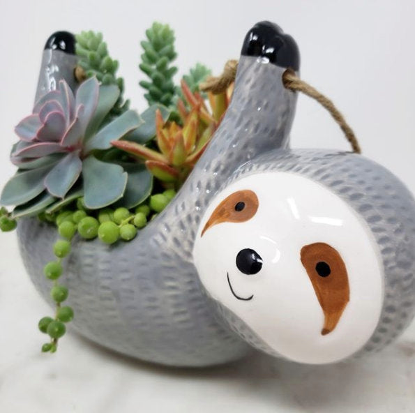 Sloth Hanging Planter Pot for Succulents & Plants