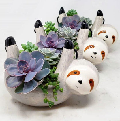 Sloth Hanging Planter Pot for Succulents & Plants
