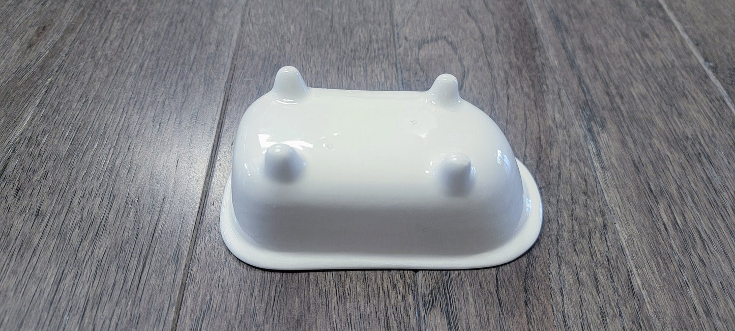 Small Bathtub Planter