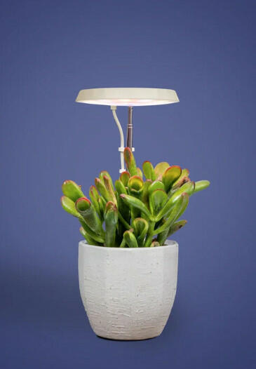 AeroGarden Stem Grow Light Cream White 5.71x4.33x1.30 in MPN 980201-0100