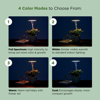 AeroGarden Stem Grow Light Cream White 5.71x4.33x1.30 in MPN 980201-0100